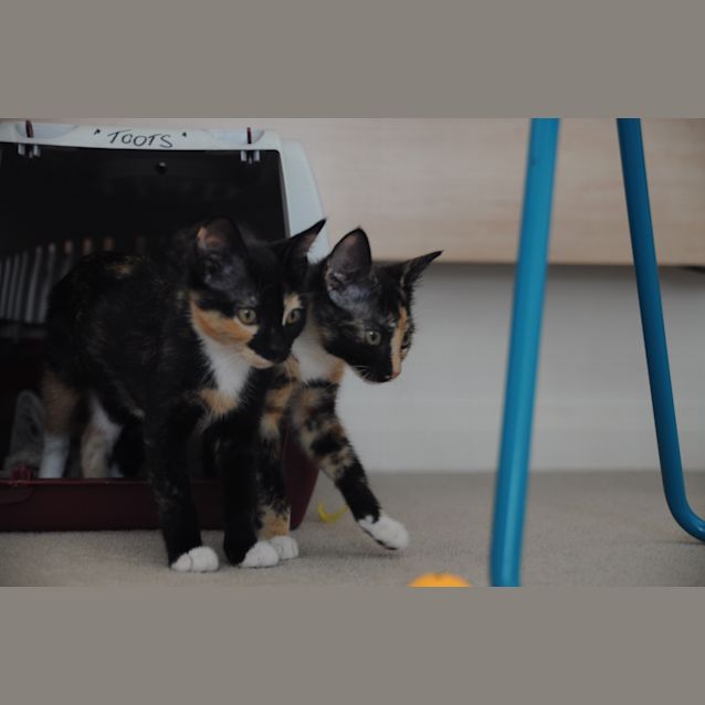 Photo of Cinnamon & Cashew