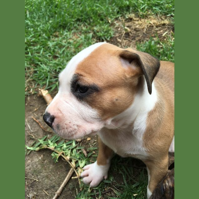 Photo of Abbie