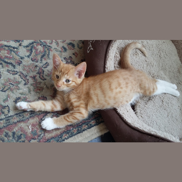 Photo of Holly