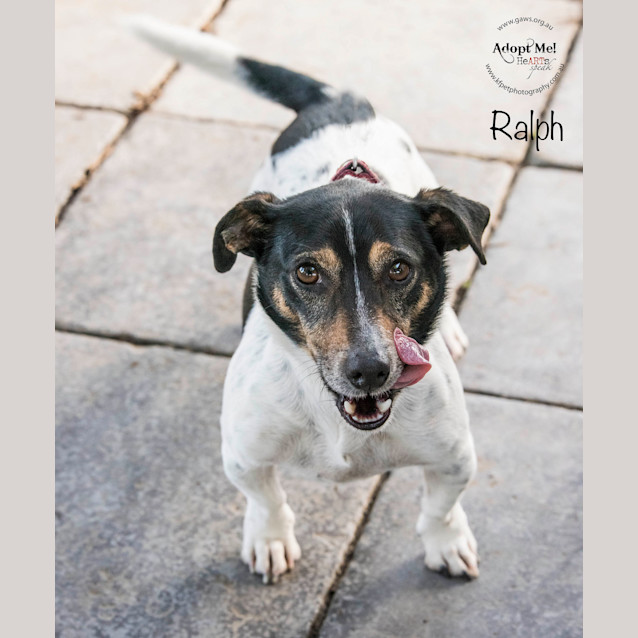 Photo of Ralph Id32202