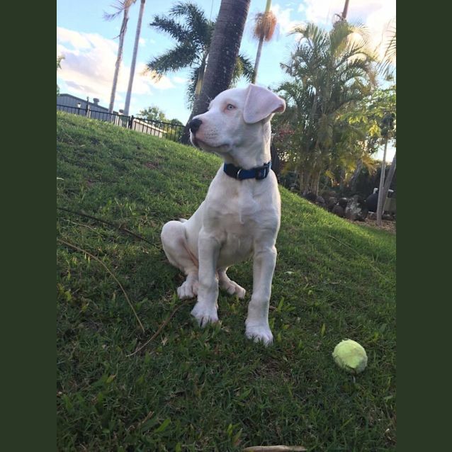Photo of Paco 