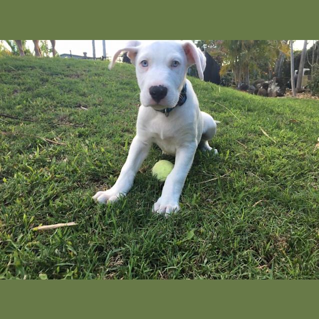 Photo of Paco 