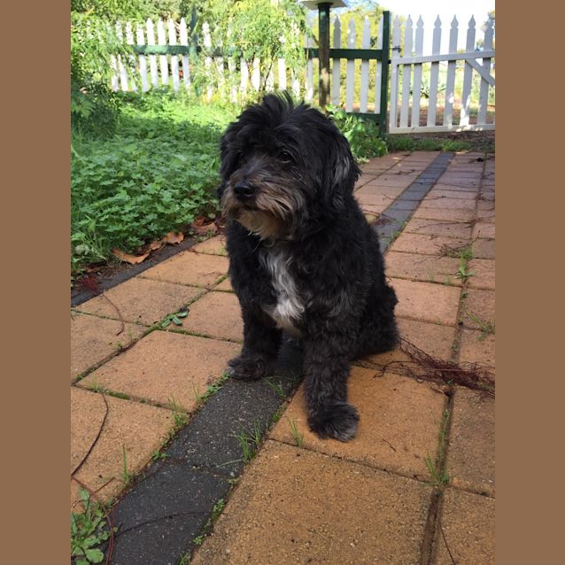 Photo of Chloe