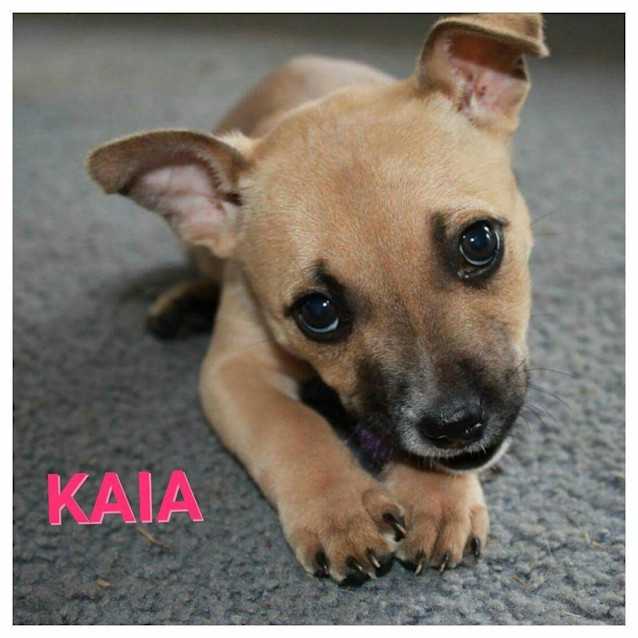 Photo of Kaia