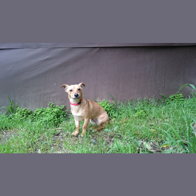 Photo of Sandy