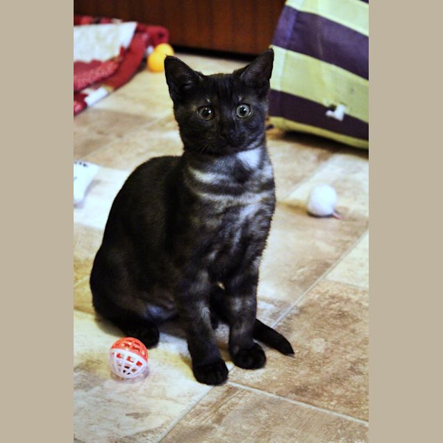 Photo of Monica