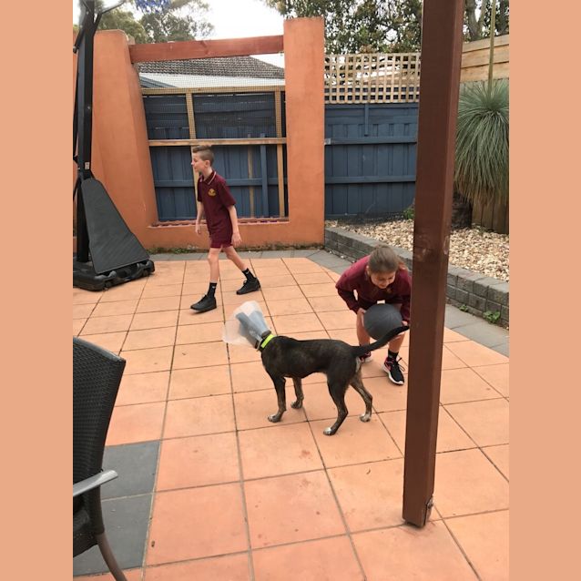 Photo of Siggy Loves Kids