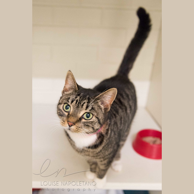 Photo of Joliet (3090)