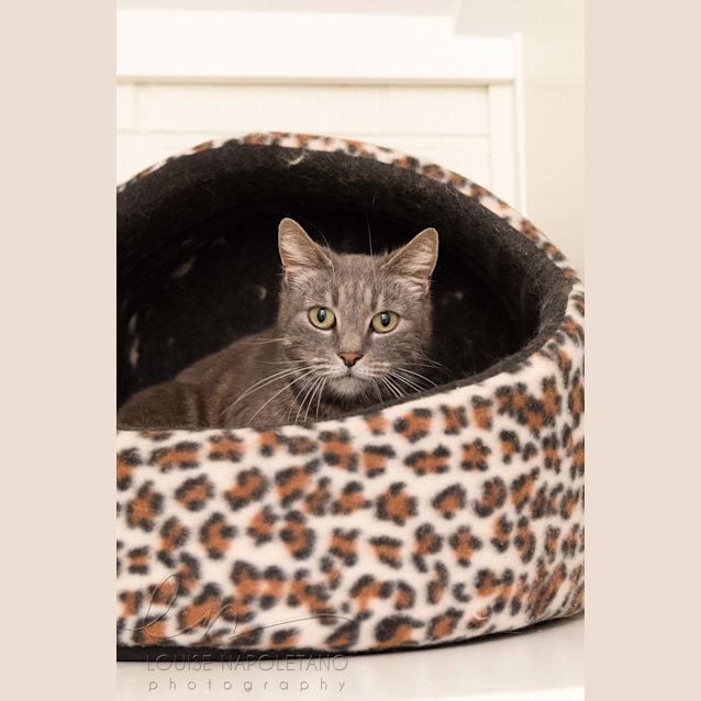 Photo of Princess (4659)