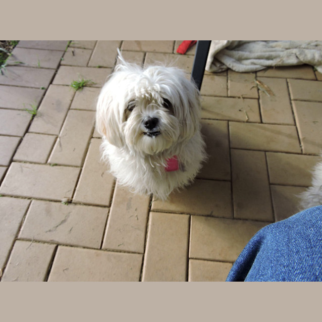 Photo of Molly