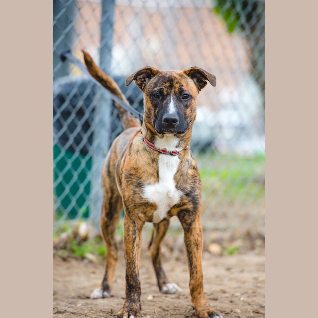 Photo of Draven