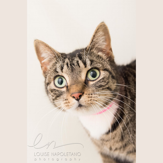 Photo of Joliet (3090)