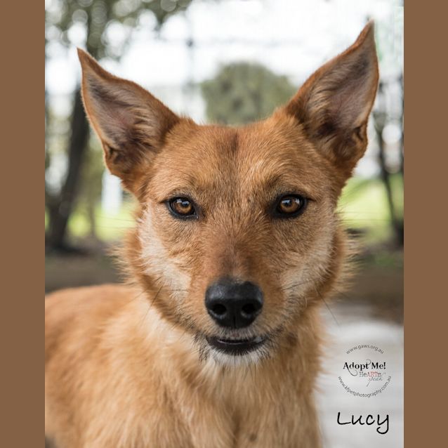Photo of Lucy Id30226