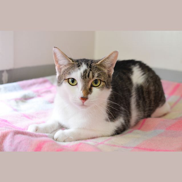 Photo of Matilda