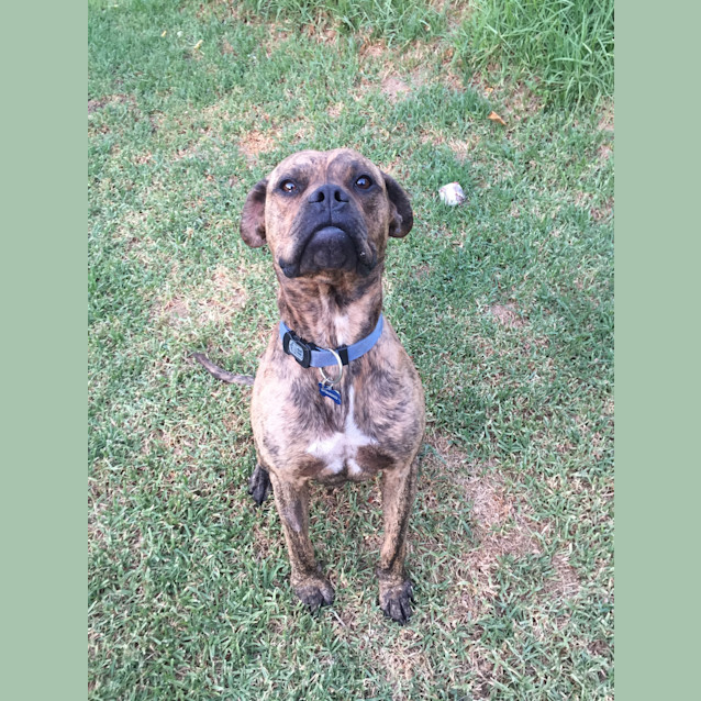 Photo of Bruce