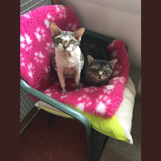 Photo of Mac And Minnie