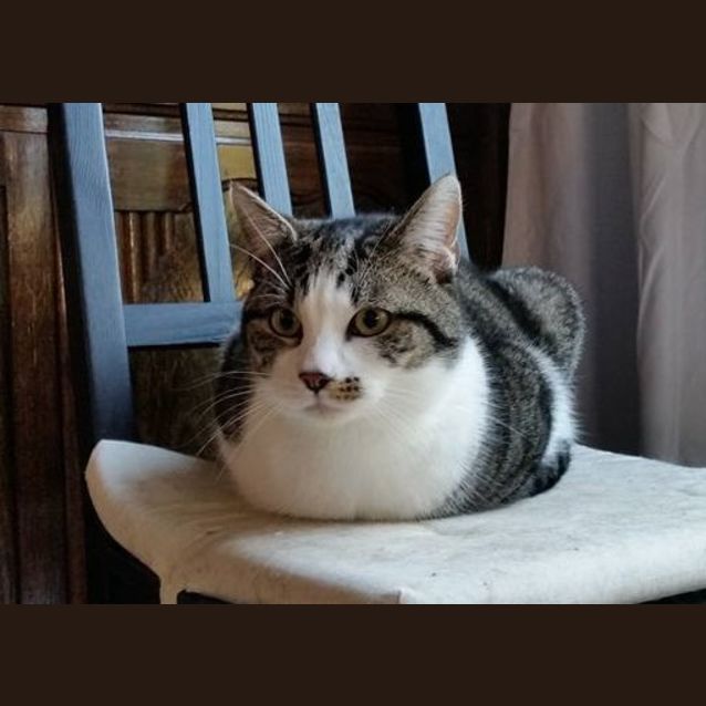 Photo of Eric