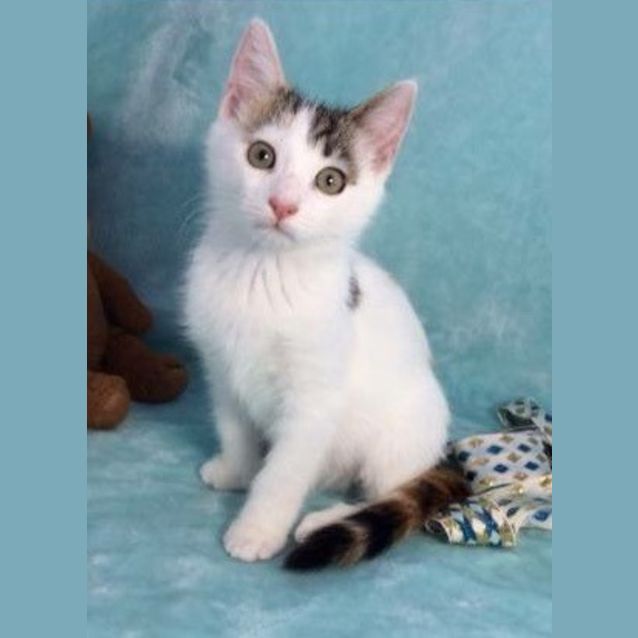 Photo of Cadbury   I'm Sweeter Than Chocolate!