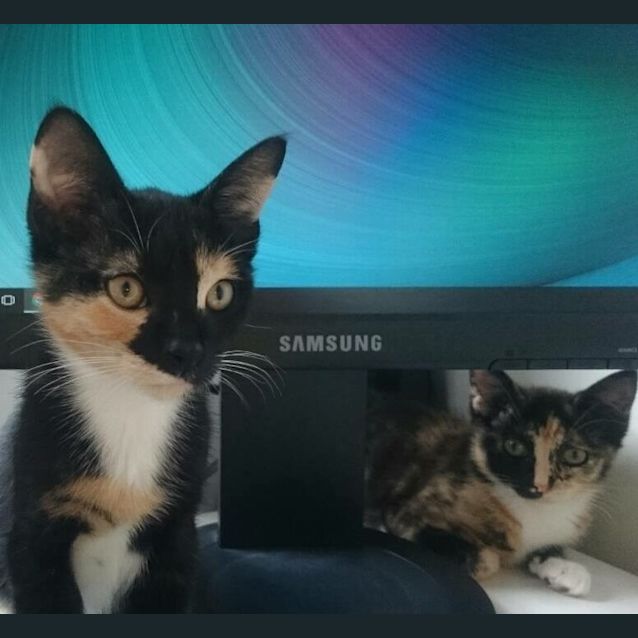 Photo of Cinnamon & Cashew