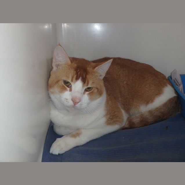 Photo of Lenny