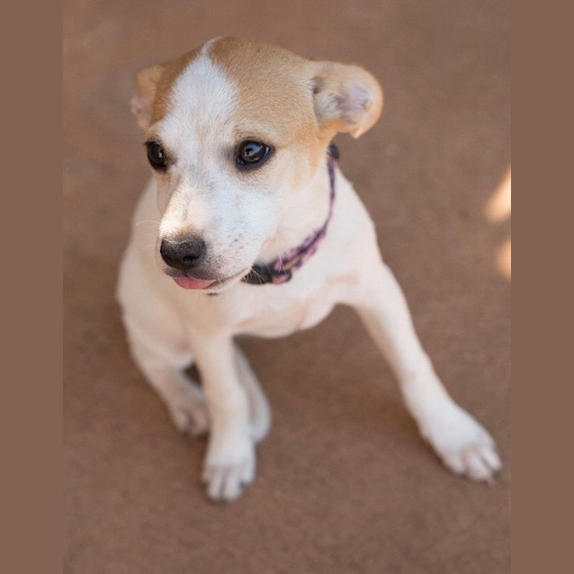 Photo of Tiny (D3404) 