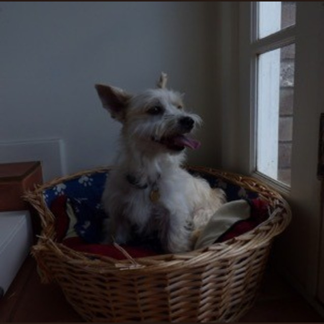 Photo of Molly Ed0073