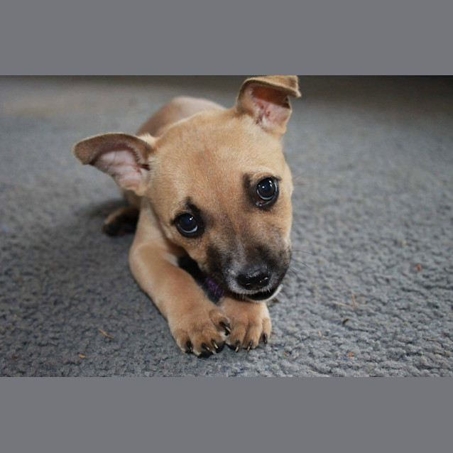 Photo of Kaia