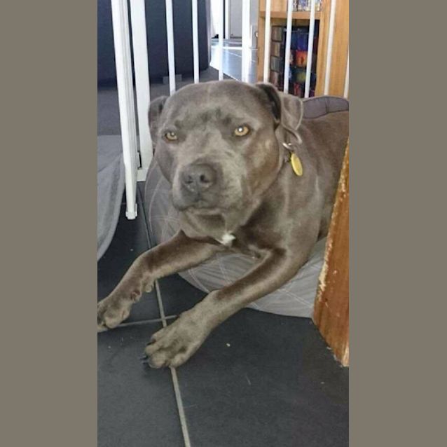 Photo of Bella And Baylee