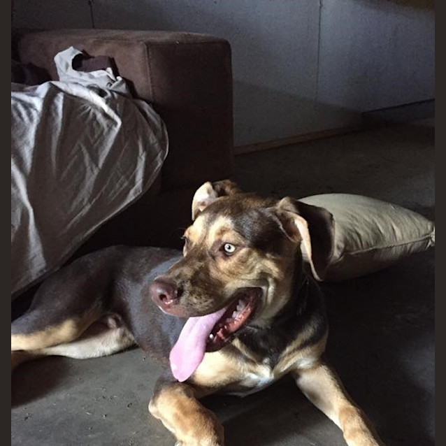 Photo of Benson