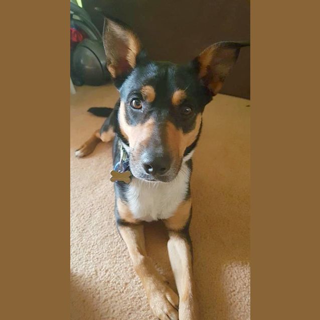 Photo of Miss Moo ~ On Trial 18/2/17
