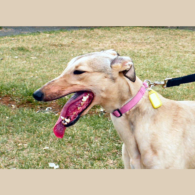 Photo of Summer Is Checking Out Her New Home