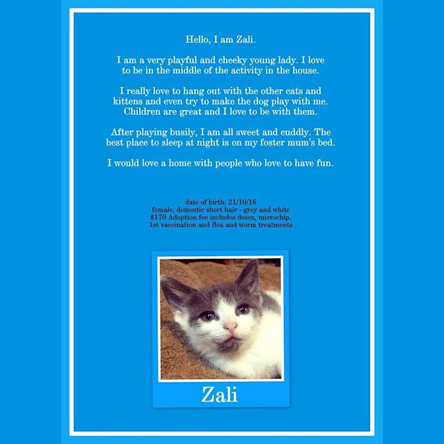 Photo of Zali