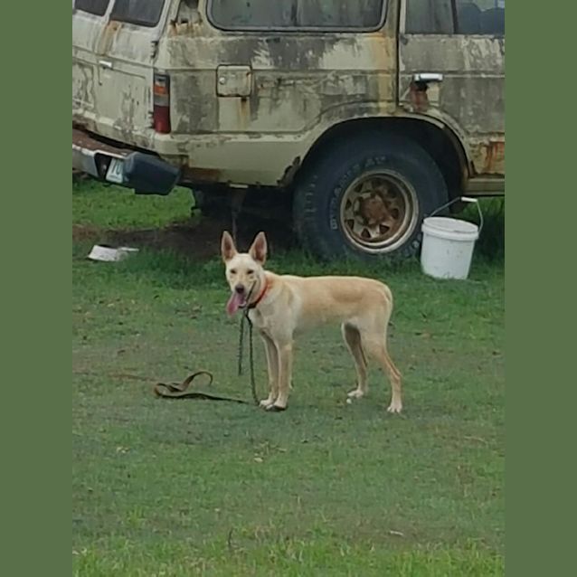 Photo of Haylo
