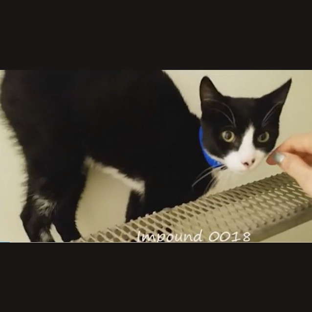 Photo of Rochefort (0018)