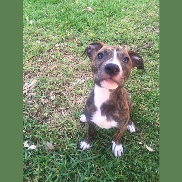 Photo of Plum