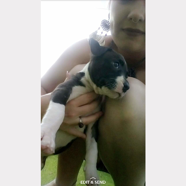 Photo of Hope ** A Special Puppy **