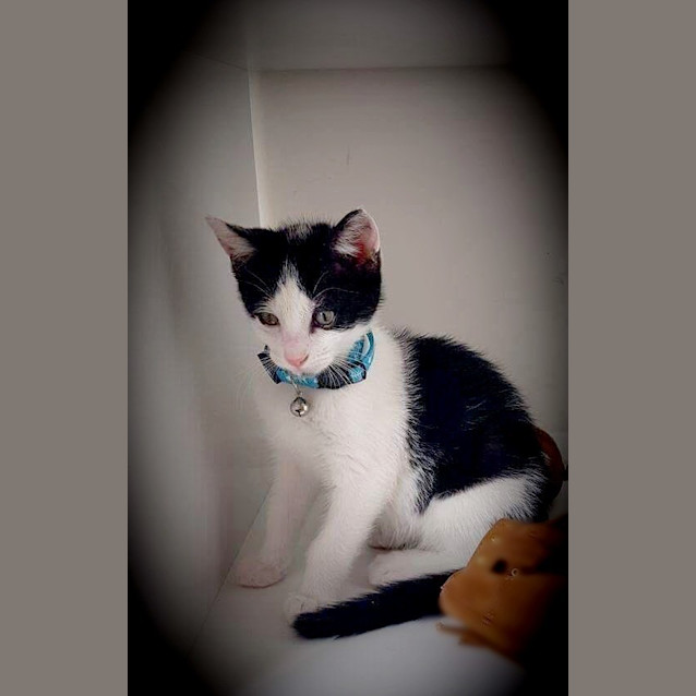 Photo of The Clawsome Nardo! 