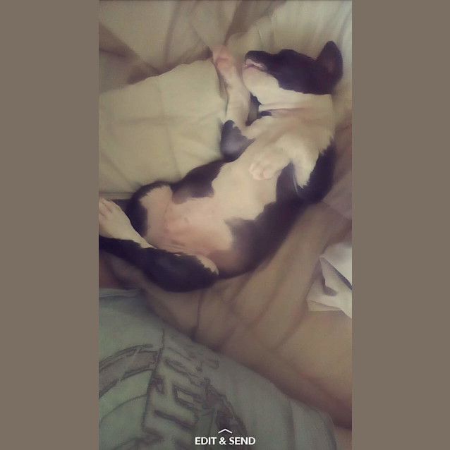 Photo of Hope ** A Special Puppy **