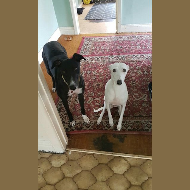 Photo of “Jessie”, Up For Anything. Melbourne