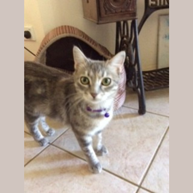 Photo of Ella