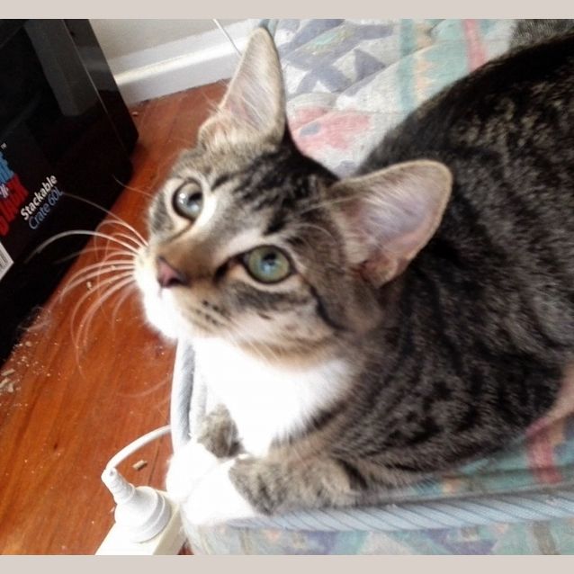 Photo of Socks
