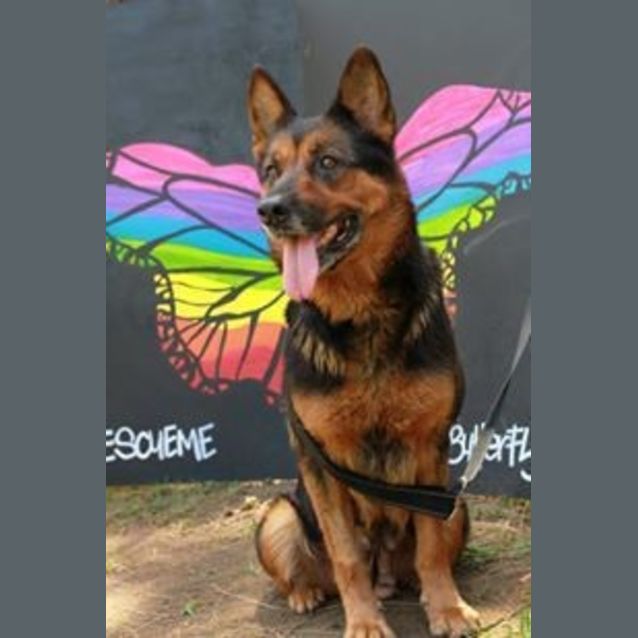 Photo of Oscar