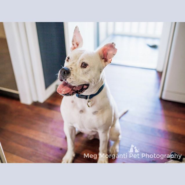 Photo of Bop *I'm Just $200!*