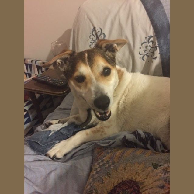 Photo of Charlie