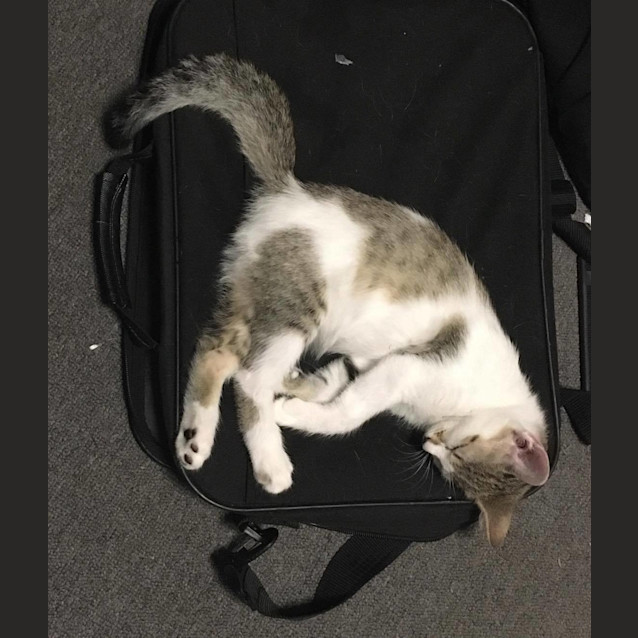 Photo of Olivia