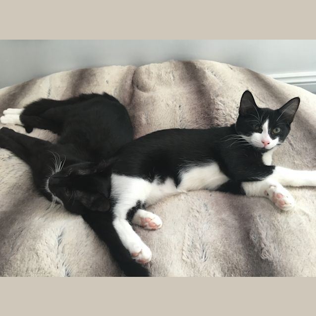 Photo of Hansel & Gretel