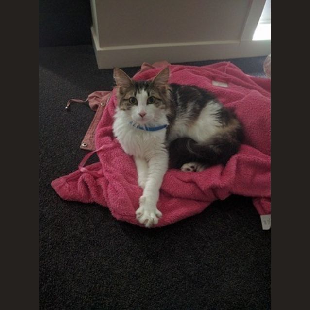 Photo of Marv
