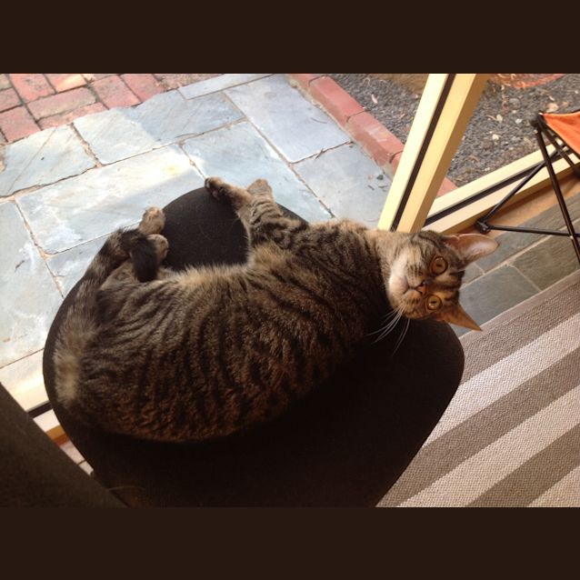 Photo of Lucy (Meet Me At The Catz Pyjamas   Brunswick)