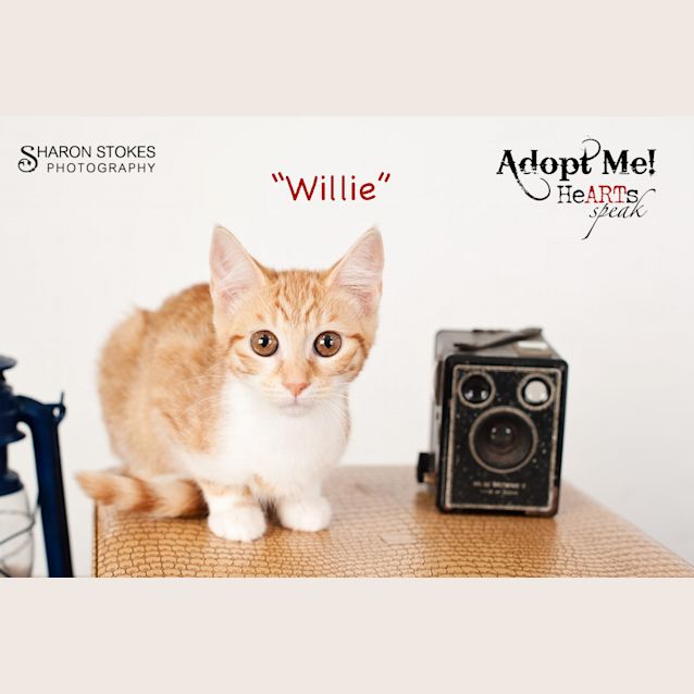 Photo of Willie/Wilma