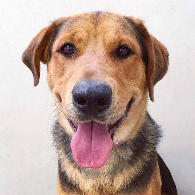 Photo of Molly